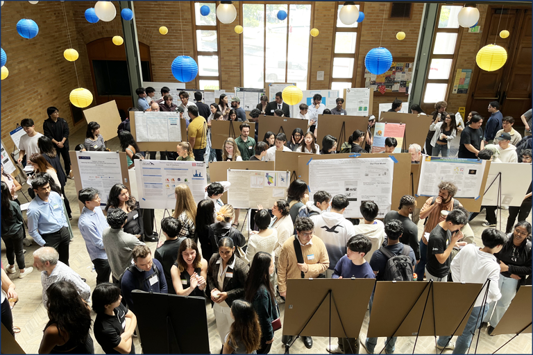 CDSS Discovery Program