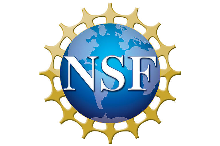 NSF - OB project page banner logo